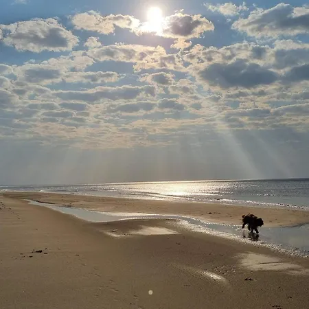 6 Person In 펜션 *